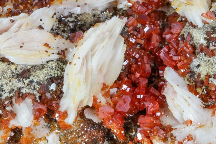Ruby Red Vanadinite Crystals With Barite - Gorgeous Specimen #104746
